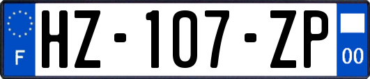 HZ-107-ZP