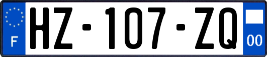 HZ-107-ZQ