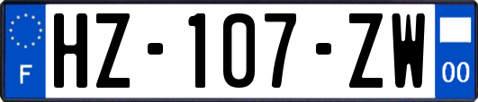 HZ-107-ZW