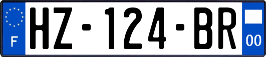 HZ-124-BR