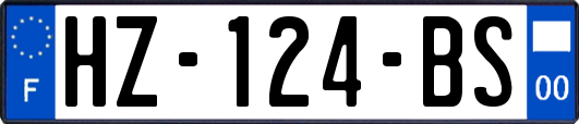 HZ-124-BS