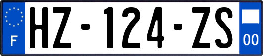 HZ-124-ZS
