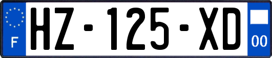 HZ-125-XD