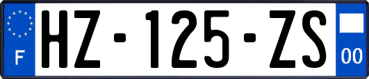 HZ-125-ZS