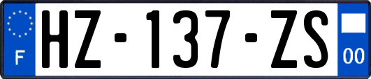 HZ-137-ZS