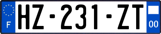 HZ-231-ZT