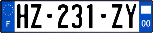 HZ-231-ZY
