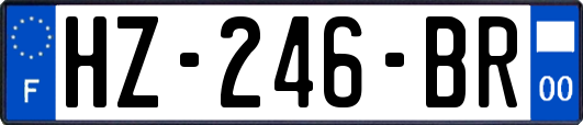 HZ-246-BR
