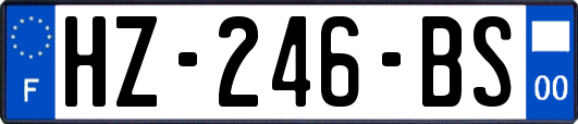 HZ-246-BS