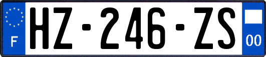 HZ-246-ZS