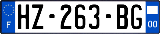 HZ-263-BG