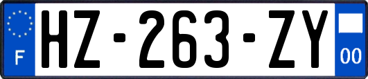 HZ-263-ZY