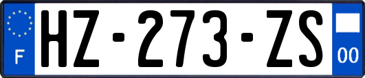 HZ-273-ZS
