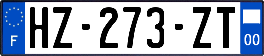 HZ-273-ZT