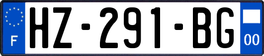HZ-291-BG