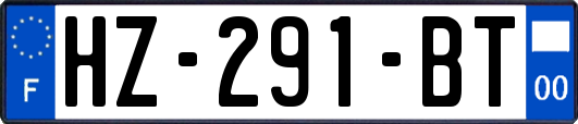 HZ-291-BT