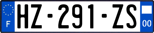 HZ-291-ZS