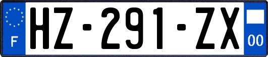 HZ-291-ZX