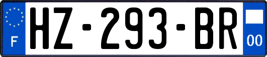 HZ-293-BR