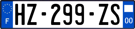 HZ-299-ZS
