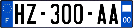 HZ-300-AA