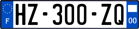 HZ-300-ZQ