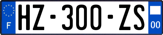 HZ-300-ZS