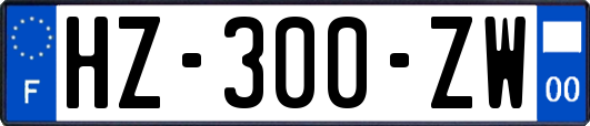 HZ-300-ZW