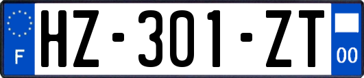 HZ-301-ZT