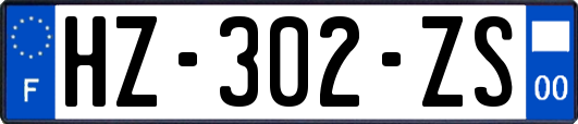 HZ-302-ZS