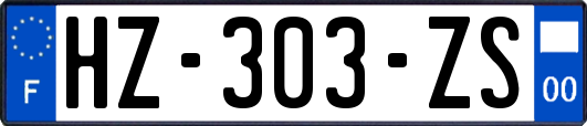 HZ-303-ZS