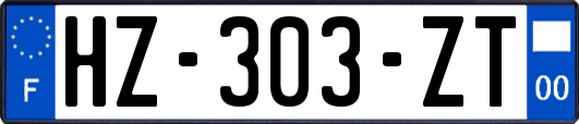 HZ-303-ZT