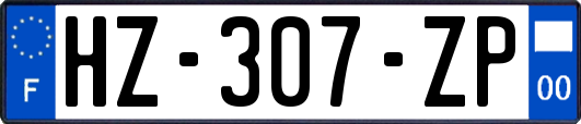 HZ-307-ZP