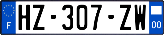 HZ-307-ZW