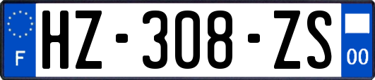 HZ-308-ZS