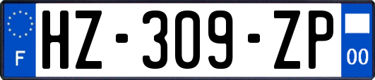 HZ-309-ZP