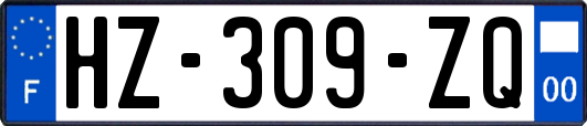 HZ-309-ZQ