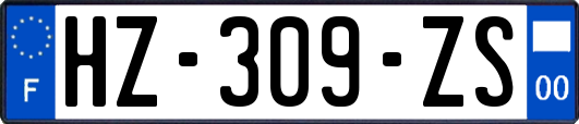HZ-309-ZS