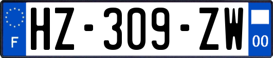 HZ-309-ZW