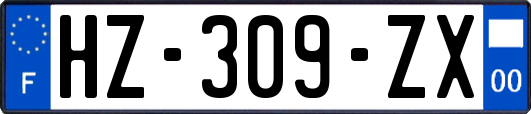 HZ-309-ZX