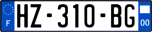 HZ-310-BG