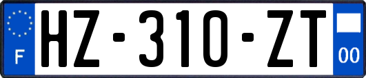 HZ-310-ZT