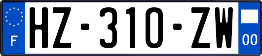 HZ-310-ZW