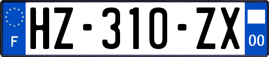 HZ-310-ZX