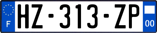 HZ-313-ZP