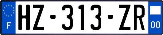 HZ-313-ZR
