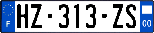 HZ-313-ZS