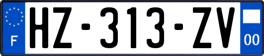 HZ-313-ZV