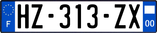 HZ-313-ZX