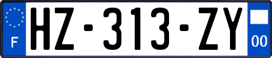 HZ-313-ZY